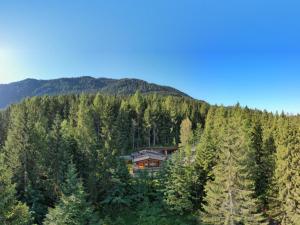 Waldchalet Lisa am Schneeberg Waldchalet Lisa am Schneeberg in Tirol